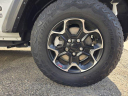 Thumbnail image of 2021 Jeep Wrangler Unlimited at Garden City Jeep Chrysler