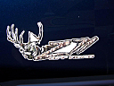 Thumbnail image of 1995 Chevrolet C/K 1500 Series at Cars Inc.