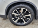 Thumbnail image of 2020 Nissan Rogue at Five Star Chevrolet-cadillac