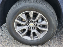 Thumbnail image of 2020 Chevrolet Silverado 1500 at Larson Ford
