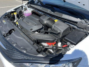 Thumbnail image of 2024 Chrysler Voyager at Jacky Jones Chrysler Dodge Jeep Hayesville