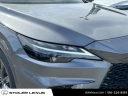 Thumbnail image of 2023 Lexus RX 350 at Stoler Lexus