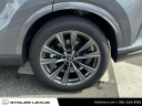 Thumbnail image of 2023 Lexus RX 350 at Stoler Lexus
