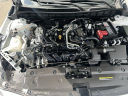 Thumbnail image of 2024 Nissan Altima at Mike Calvert Toyota - New