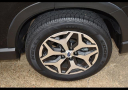 Thumbnail image of 2023 Subaru Forester at Wray Ford