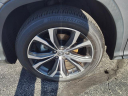 Thumbnail image of 2022 Lexus RX 350 at Lexus Of Toledo