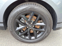 Thumbnail image of 2024 Land Rover Range Rover Velar at Piazza Jaguar Land Rover Willow Grove