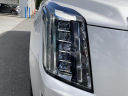 Thumbnail image of 2020 Cadillac Escalade at Miller & Miller Chevrolet Buick GMC