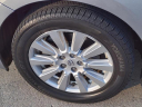 Thumbnail image of 2017 Toyota Sienna at Serra Buick Gmc Champaign