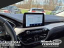 Thumbnail image of 2022 Ford Escape at Mark Thomas Ford