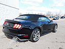 Thumbnail image of 2017 Ford Mustang at Mathews Nissan