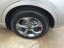 Thumbnail image of 2024 Ford Escape at Wray Ford