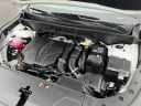 Thumbnail image of 2025 Kia Sorento at Auffenberg Hyundai