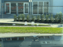 Thumbnail image of 2024 Ford F-450 Super Duty at Miami Luxury Motors