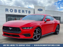Thumbnail image of 2024 Ford Mustang at Roberts Ford