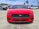 Thumbnail image of 2024 Ford Mustang at Roberts Ford