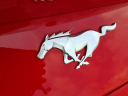 Thumbnail image of 2024 Ford Mustang at Roberts Ford