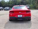 Thumbnail image of 2024 Ford Mustang at Roberts Ford