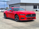 Thumbnail image of 2024 Ford Mustang at Roberts Ford