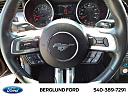 Thumbnail image of 2019 Ford Mustang at Berglund Salem