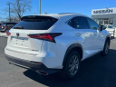 Thumbnail image of 2021 Lexus NX 300 at Nissan of Westbury