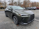 Thumbnail image of 2025 Lexus NX 350h at Lexus of Smithtown