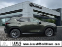 Thumbnail image of 2025 Lexus NX 350h at Lexus of Smithtown