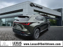Thumbnail image of 2025 Lexus NX 350h at Lexus of Smithtown