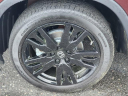 Thumbnail image of 2022 Honda Pilot at Honda Universe
