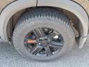 2025 Nissan Rogue Rock Creek at Randy Marion Chevrolet, Buick, Cadillac, GMC, Subaru, Ford, Lincoln, Chrysler, Jeep, Ram