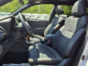 2024 Subaru Forester Wilderness at Beechmont Subaru