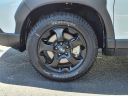 Thumbnail image of 2024 Subaru Forester at Beechmont Subaru