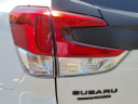 Thumbnail image of 2024 Subaru Forester at Beechmont Subaru