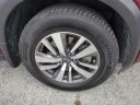 Thumbnail image of 2022 Nissan Pathfinder at OrlandoKiaWest - NEW