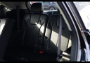 Thumbnail image of 2024 Kia Sorento at Elgin Kia