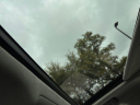 Thumbnail image of 2013 Lexus LS 460 at Genesis Northwest