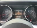 Thumbnail image of 2022 Ford Mustang at Essential Ford