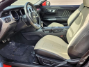 Thumbnail image of 2022 Ford Mustang at Essential Ford