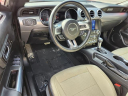 Thumbnail image of 2022 Ford Mustang at Essential Ford