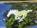 Thumbnail image of 2022 Ford Mustang at Essential Ford