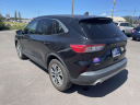 Thumbnail image of 2022 Ford Escape at FREEDOM MOTORWERKS