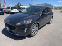 Thumbnail image of 2022 Ford Escape at FREEDOM MOTORWERKS