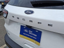2022 Ford Escape SEL at All American Ford Paramus