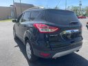 Thumbnail image of 2014 Ford Escape at Dave & Mike's Used Cars Inc