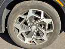Thumbnail image of 2022 Hyundai PALISADE at Maxon Hyundai Inc.