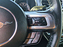 Thumbnail image of 2017 Ford Mustang at Mossy Ford