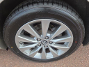 Thumbnail image of 2017 Toyota Camry at Peruzzi Toyota(New)