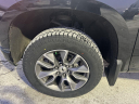 Thumbnail image of 2019 Chevrolet Silverado 1500 at Vision Nissan Greece
