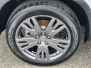 Thumbnail image of 2022 Honda Pilot at Honda Universe