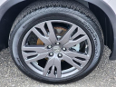 Thumbnail image of 2022 Honda Pilot at Honda Universe